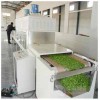 供應20KW-茶葉微波青烘干機