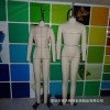 服裝打樣制衣人臺-板房打版模特