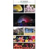 LED彩燈樹燈煙花燈戶外防水裝飾樹燈七彩燈帶商場庭園路邊樹燈