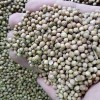 香菜子進(jìn)口清關(guān)所需資料